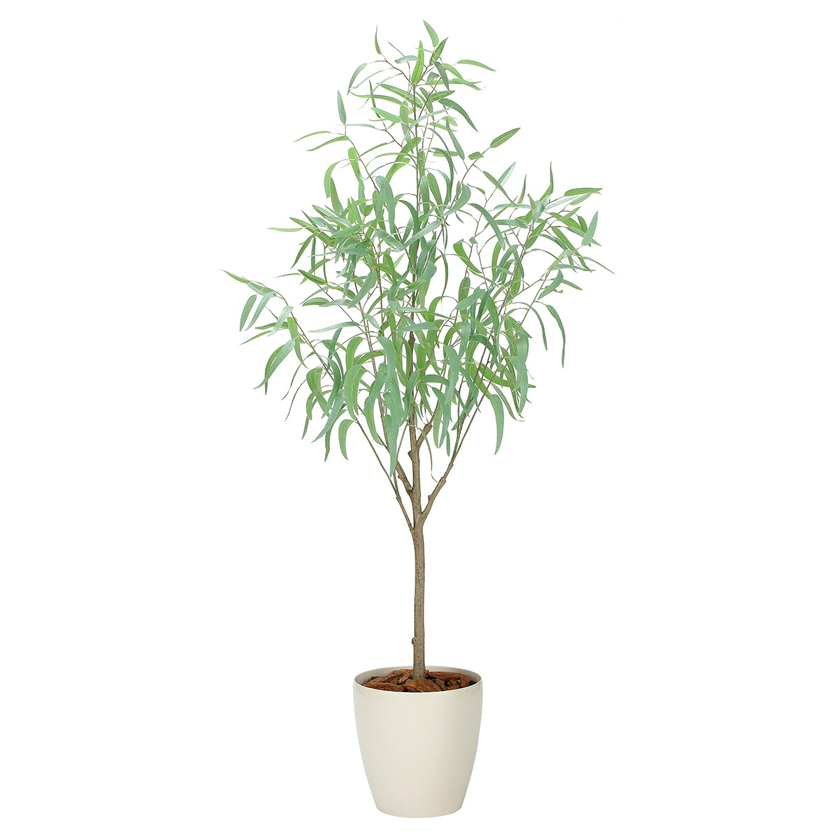 法人様限定 人工観葉植物 フェイクグリーン フレッシュシルバーユーカリ1.7 2330A500 アートクリエイション|ハストネット店
