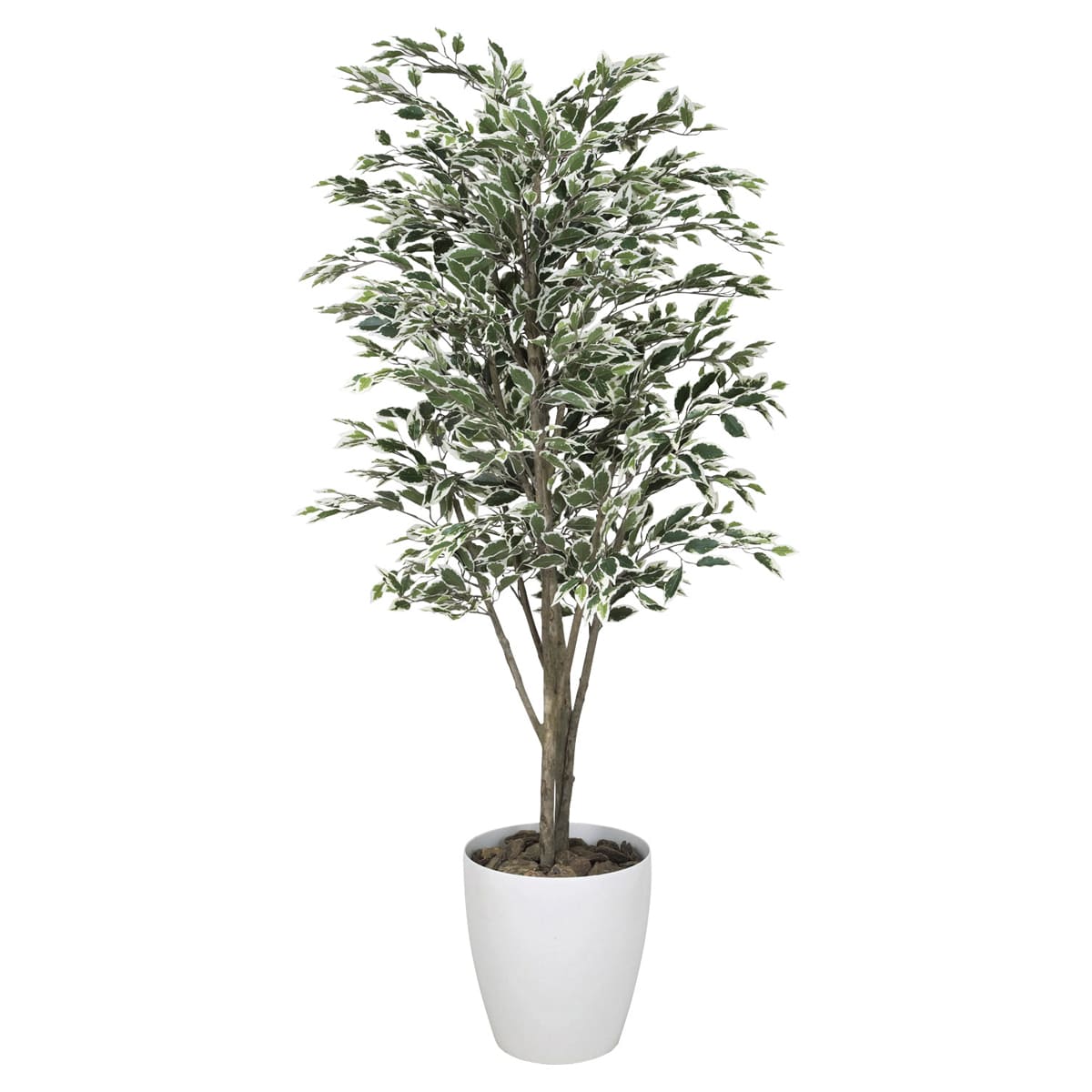 法人様限定 人工観葉植物 フェイクグリーン ベンジャミンツリー斑入り1.8 154K520 アートクリエイション|ハストネット店