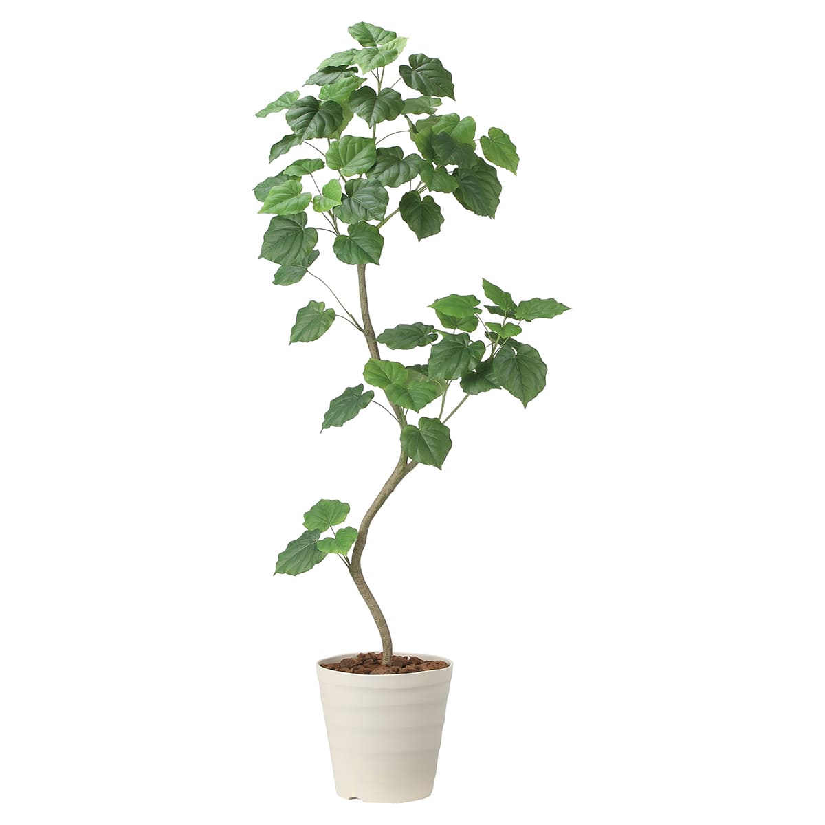 法人様限定 人工観葉植物 フェイクグリーン ツイストウンベラータ1.9（組立式）2494A500 アートクリエイション