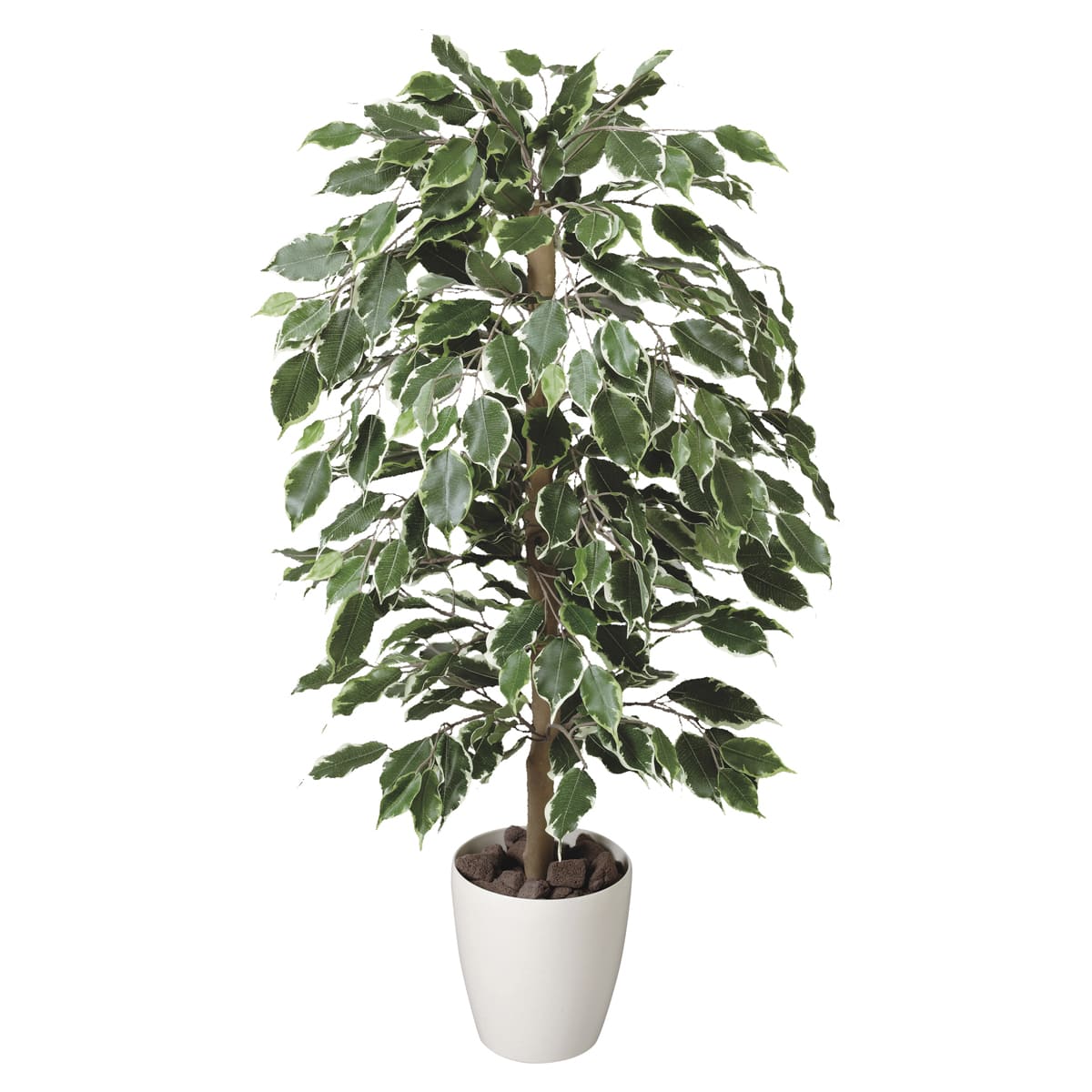 法人様限定 人工観葉植物 フェイクグリーン ゴールデンフィカス1.0 202A150 アートクリエイション|ハストネット店