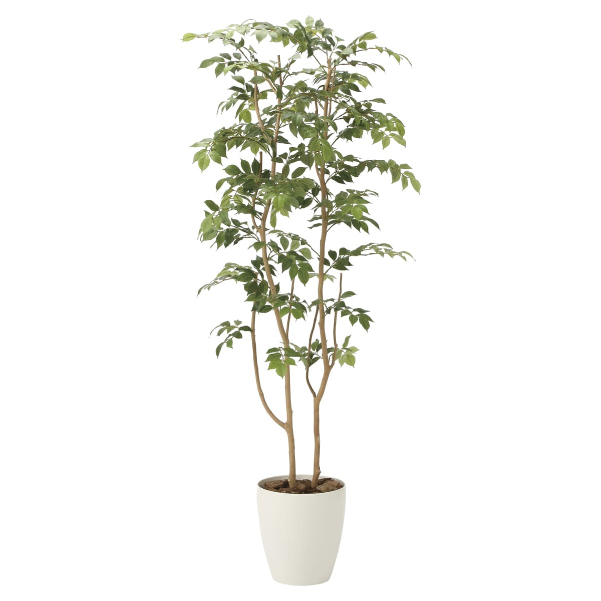 法人様限定 人工観葉植物 フェイクグリーン マウンテンアッシュ1.6 2021R400 アートクリエイション