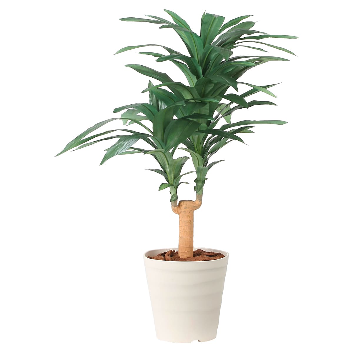 法人様限定 人工観葉植物 フェイクグリーン ドラセナジャネット1.0 2492A150 アートクリエイション｜ハストネット店 12,210円