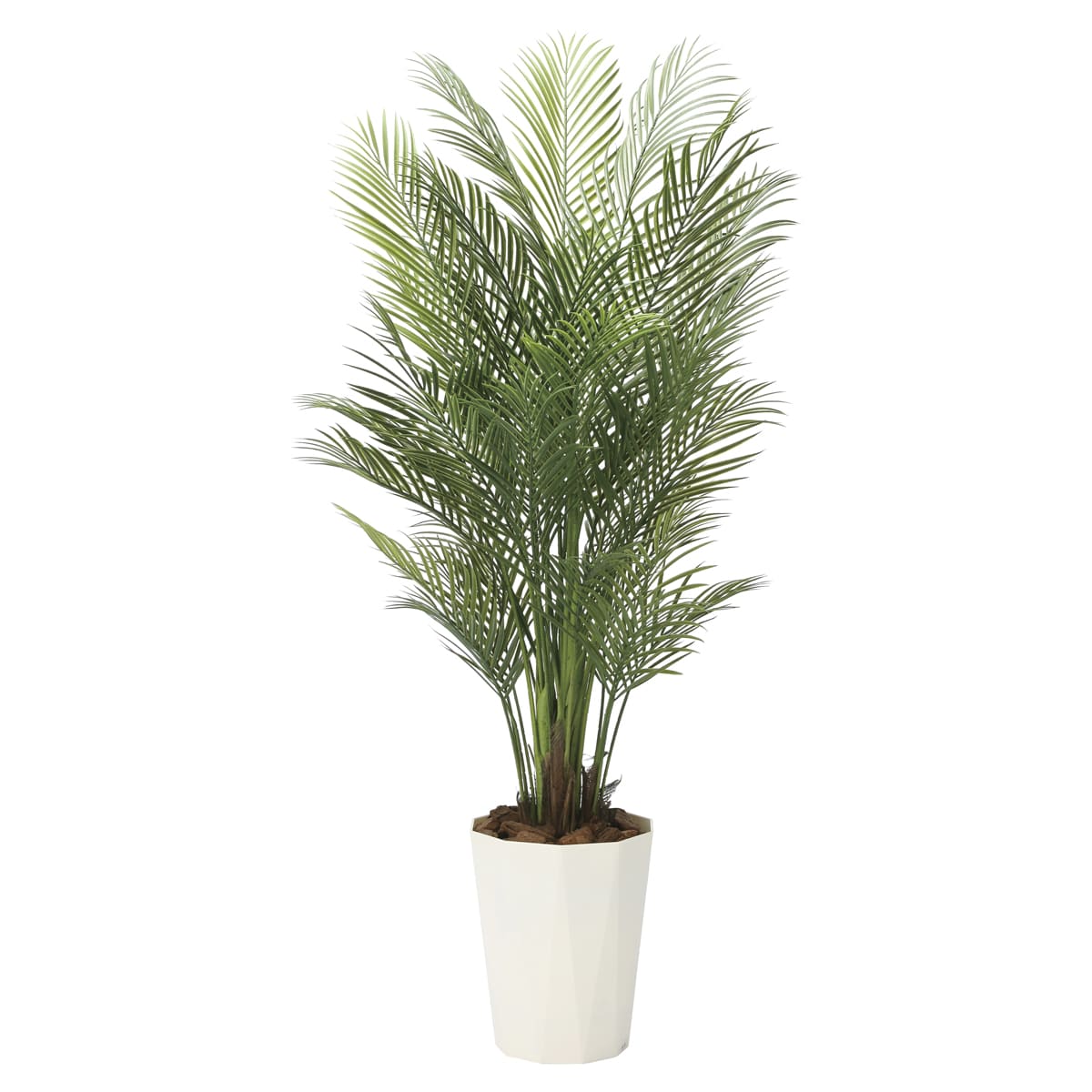 法人様限定 人工観葉植物 フェイクグリーン アレカパーム1.7（ポリ製）2006P500 アートクリエイション｜ハストネット店