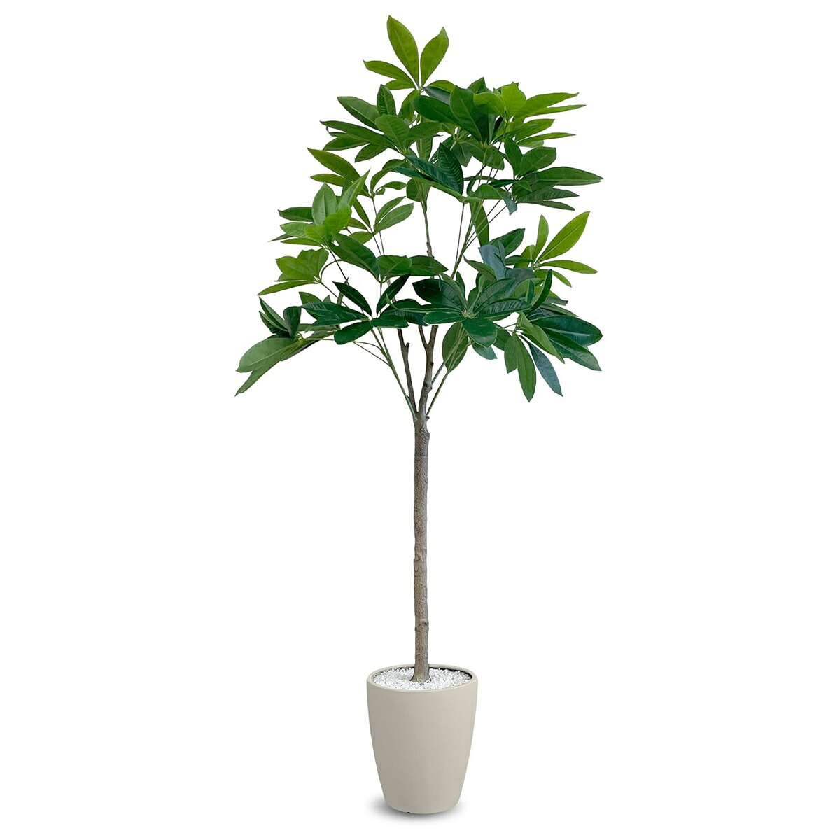 法人様限定 人工観葉植物 フェイクグリーン パキラ PAC-180IV アーバン通商
