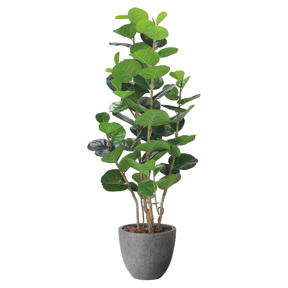 法人様限定 人工観葉植物 フェイクグリーン ナチュラルシーグレープ1.6 2402A480 アートクリエイション|ハストネット店
