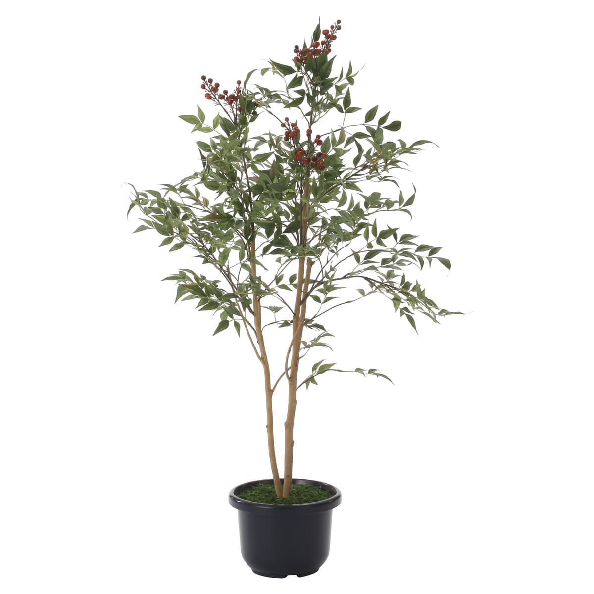 法人様限定 人工観葉植物 フェイクグリーン 南天1.0 734K165 アートクリエイション|ハストネット店