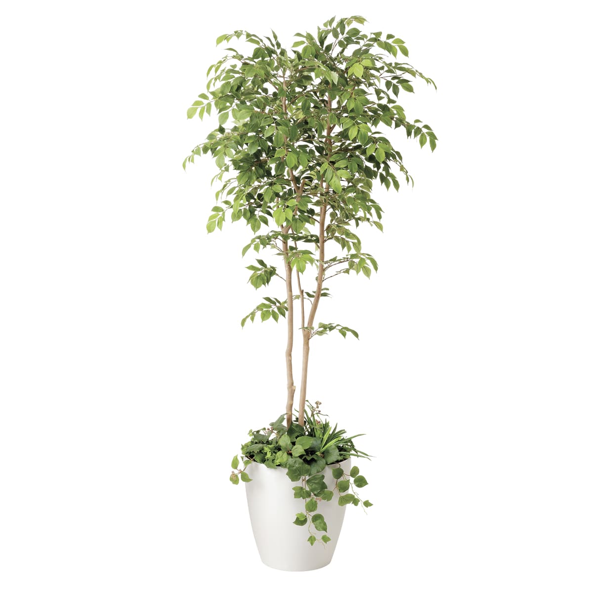 法人様押さえる 人工観葉草木 フェイクグリーン マウンテンアッシュ1.8 植栽付 408R650 アートクリエイション