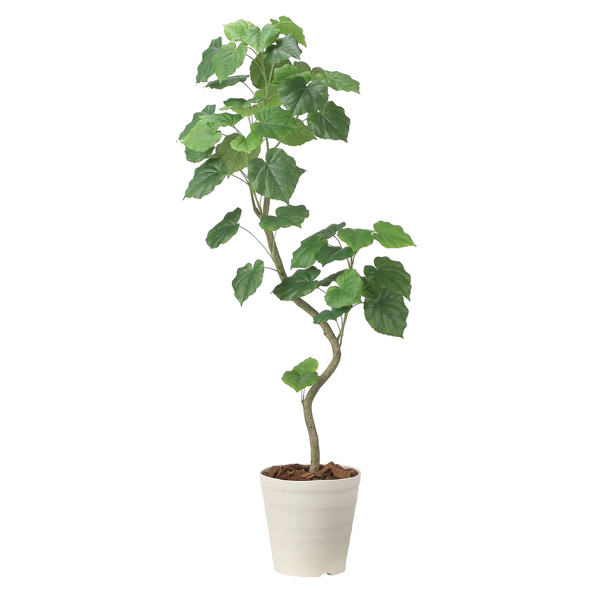 法人様限定 人工観葉植物 フェイクグリーン ツイストウンベラータ1.6 2495A450 アートクリエイション｜ハストネット店 32,175円