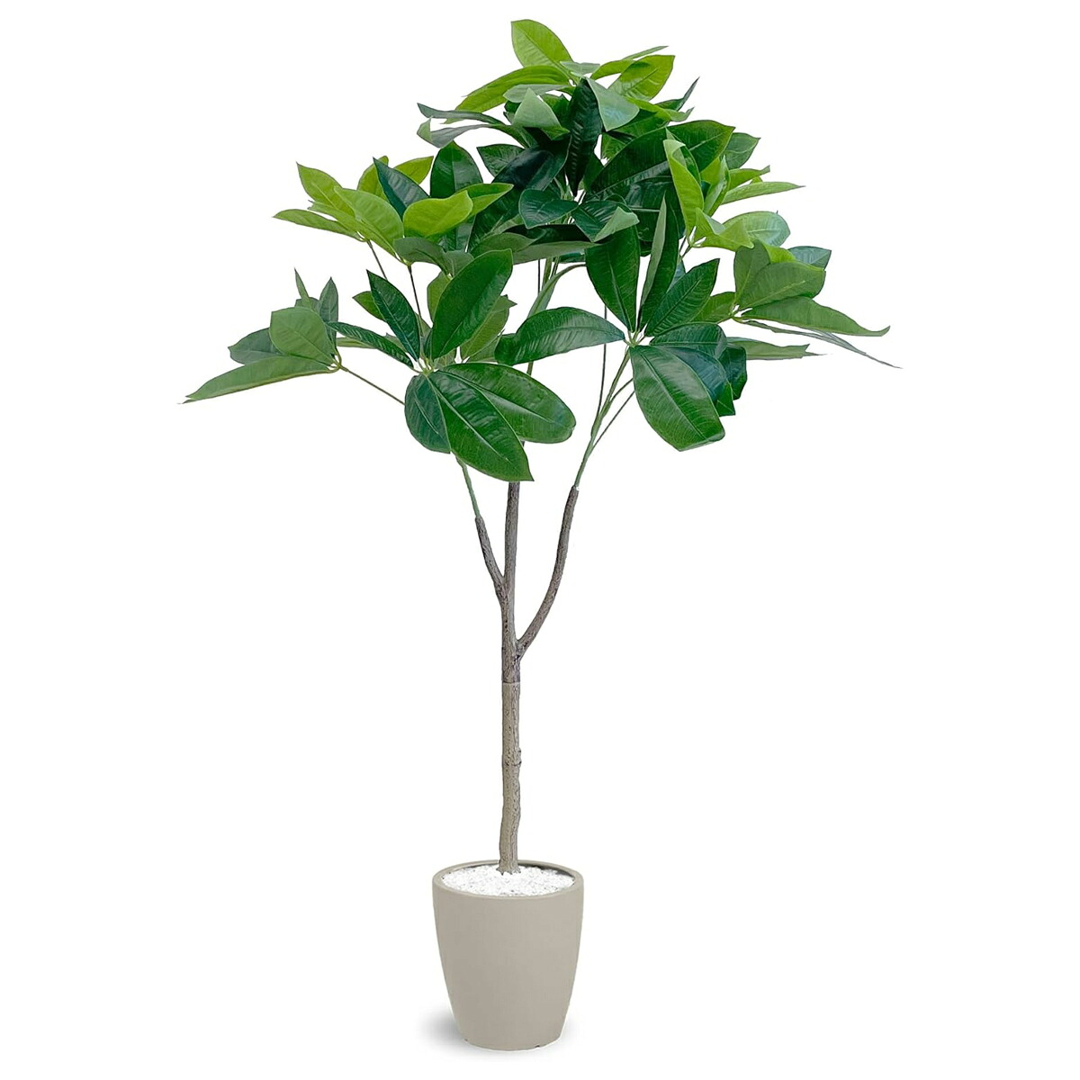 法人様限定 人工観葉植物 フェイクグリーン パキラ PAC-120IV アーバン通商|ハストネット店