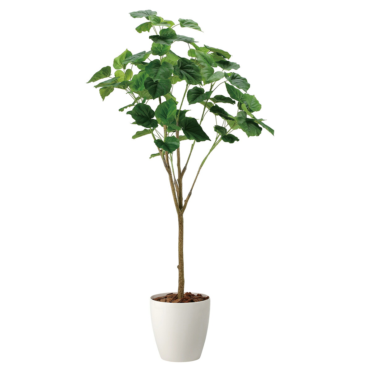 法人様限定 人工観葉植物 フェイクグリーン フィカスウンベラータ1.7 2117R450 アートクリエイション｜ハストネット店