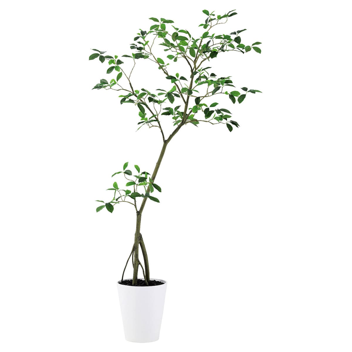 法人様限定 人工観葉植物 フェイクグリーン ガジュマル FST 鉢付 東京堂