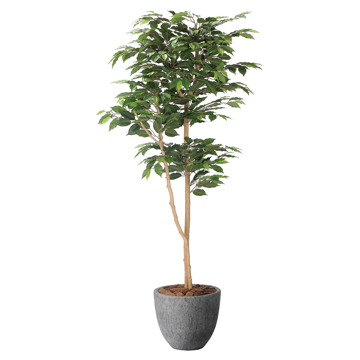 法人様限定 人工観葉植物 フェイクグリーン ナチュラルベンジャミン1.6 2401A500 アートクリエイション｜ハストネット店