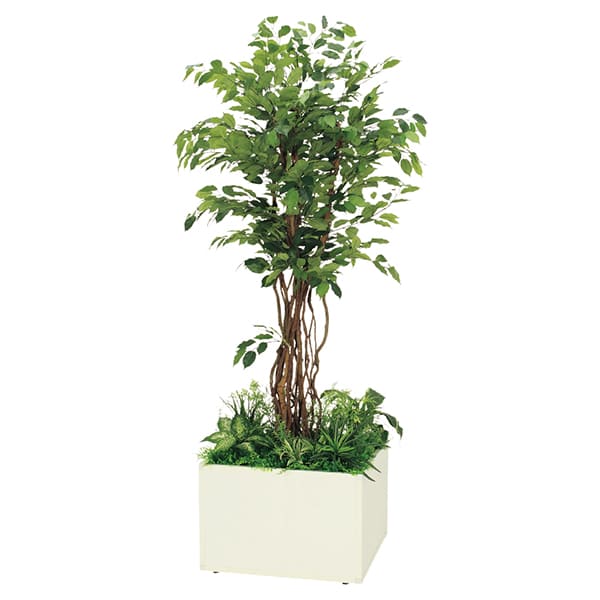 法人様押さえる 人工観葉草木 フェイクグリーン 寄せ植えプランター フィカスベンジャミン H2100 GR5030 ベルク