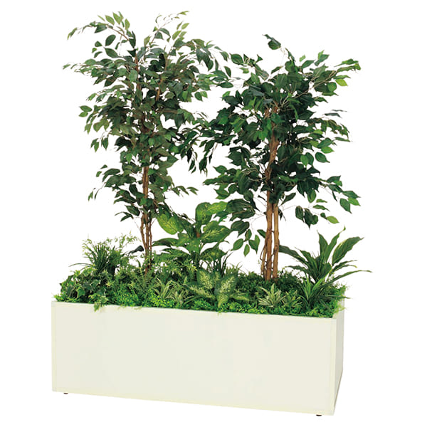 法人様限定 人工観葉植物 フェイクグリーン 寄せ植えプランター フィカスベンジャミン H1700 GR5032 ベルク|ハストネット店