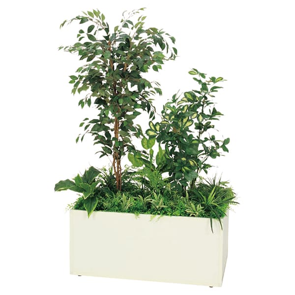 法人様限定 人工観葉植物 フェイクグリーン 寄せ植えプランター フィカスベンジャミン&シェフレラ H1700 GR5031 ベルク|ハストネット店
