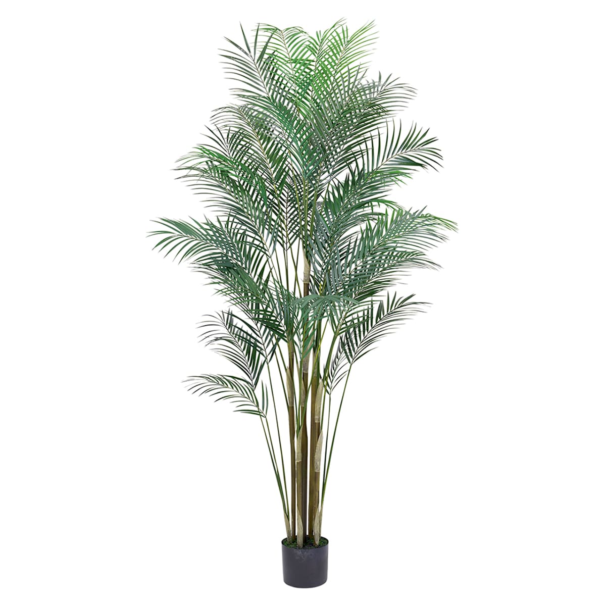 法人様限定 人工観葉植物 フェイクグリーン ワイルドパームポット 東京堂|ハストネット店