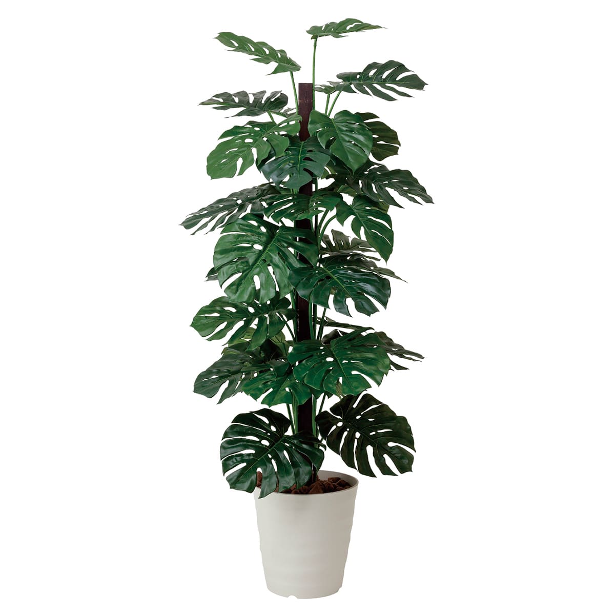 法人様限定 人工観葉植物 フェイクグリーン G-MS18 モンステラ1.8 弘益