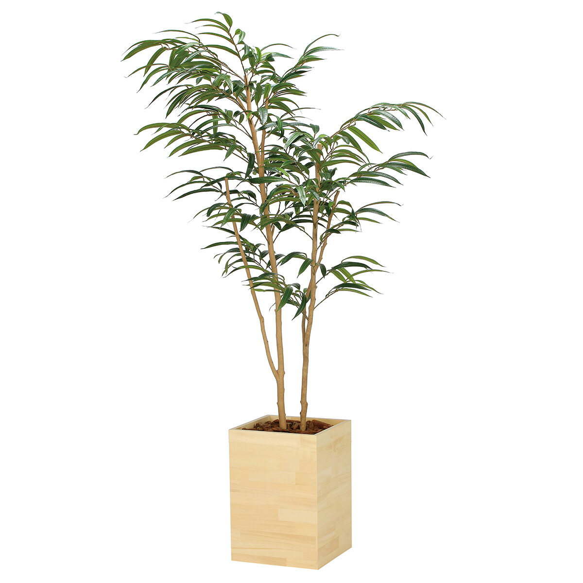 法人様限定 人工観葉植物 フェイクグリーン ウッドボックスショウナンゴム1.8 2300A580 アートクリエイション
