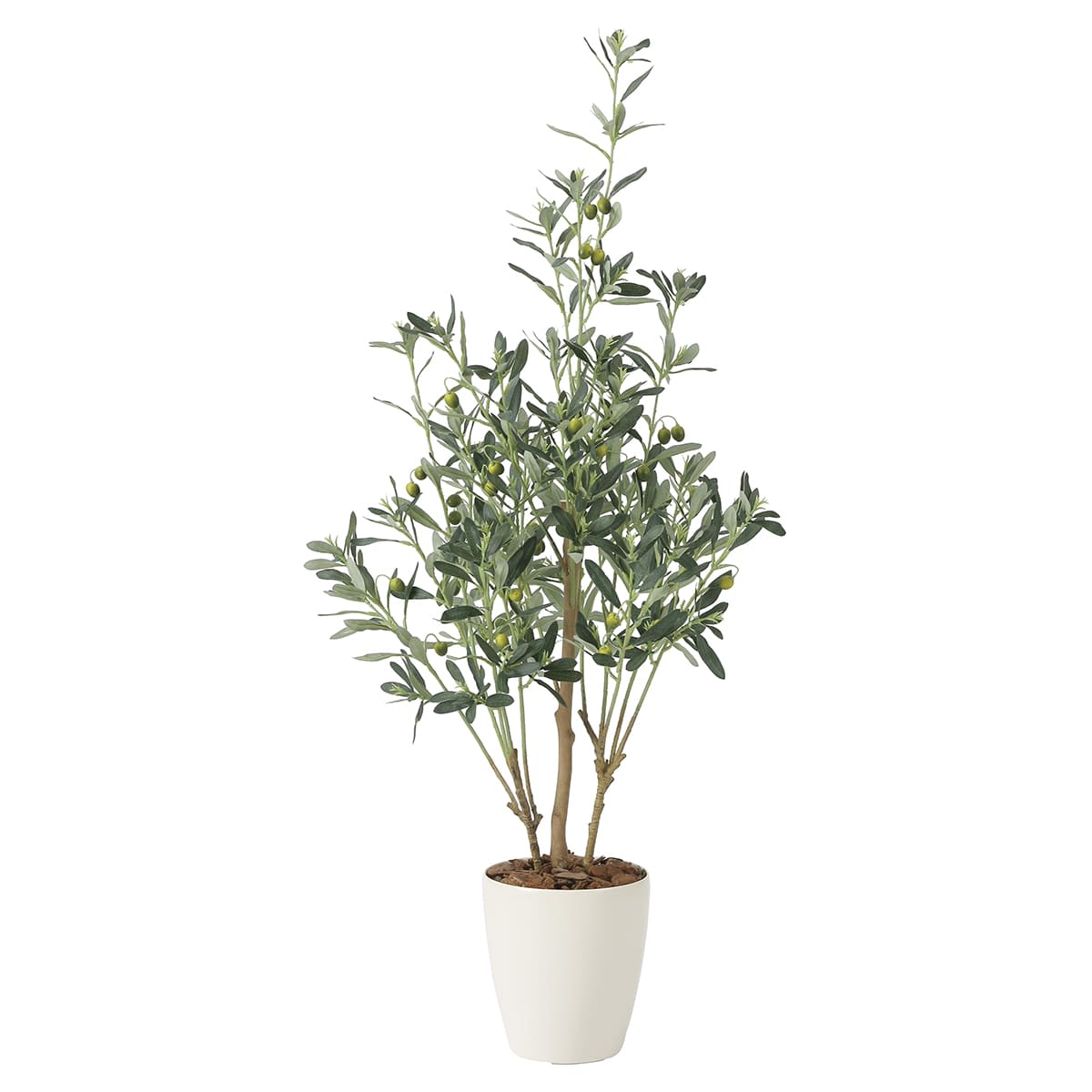 楽天市場】光触媒 光の楽園 ナチュラルオリーブツリー1.5【インテリア