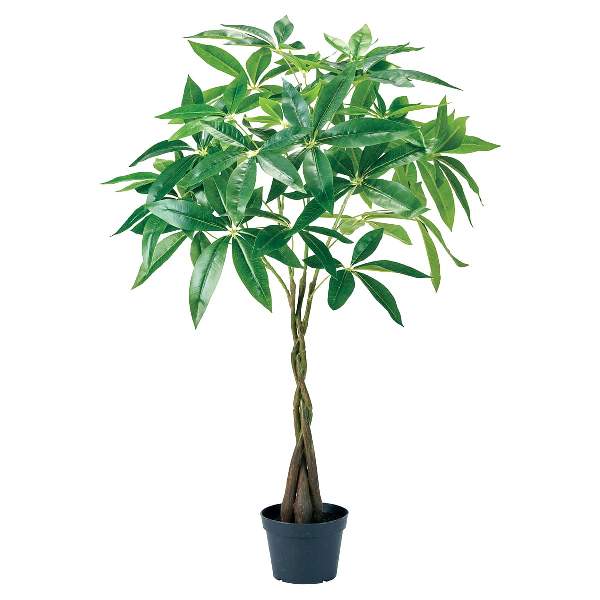 法人様限定 人工観葉植物 フェイクグリーン パキラミニポット 東京堂|ハストネット店
