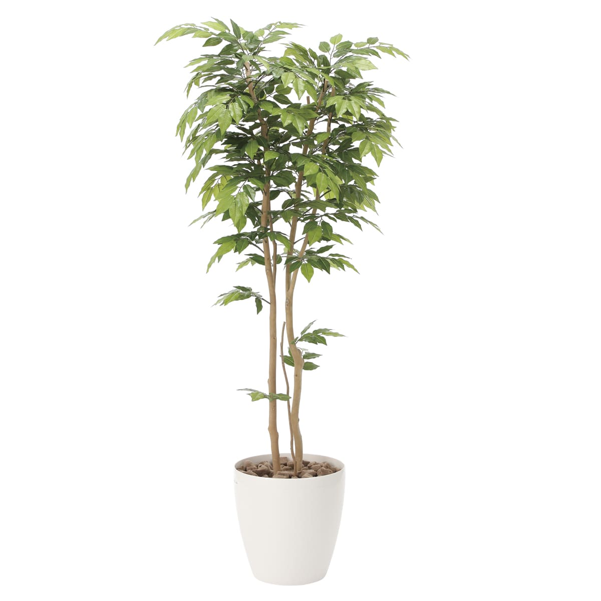 法人様限定 人工観葉植物 フェイクグリーン ケヤキ1.8 807P470 アートクリエイション|ハストネット店