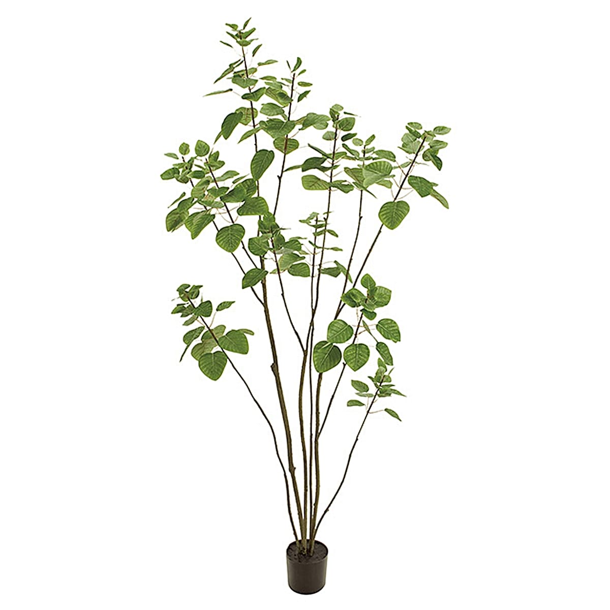 法人様限定 人工観葉植物 フェイクグリーン スモークツリーポット5F 東京堂|ハストネット店