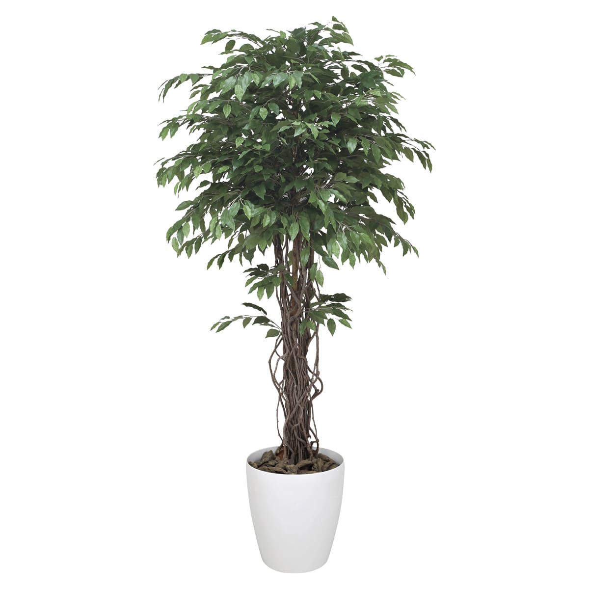 法人様限定 人工観葉植物 フェイクグリーン ベンジャミンリアナ1.8 152H620 アートクリエイション