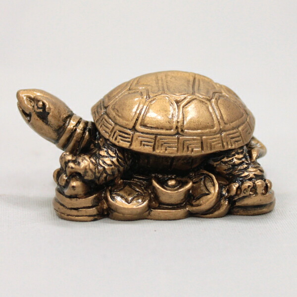 楽天市場】亀 かめ かめさん カメ 置物 陶器 信楽焼き 金運 開運 健康