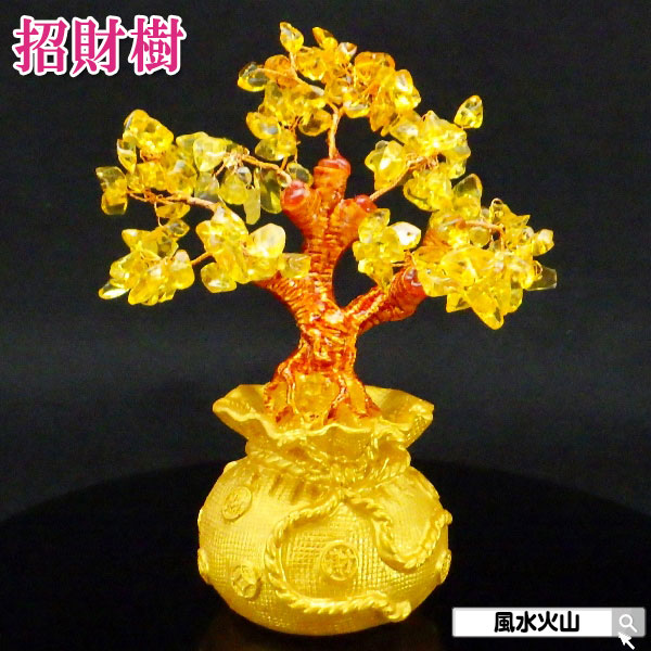 金 の なる 木 置き場 所 22 新作 65 割引 Gspctgujrat Com