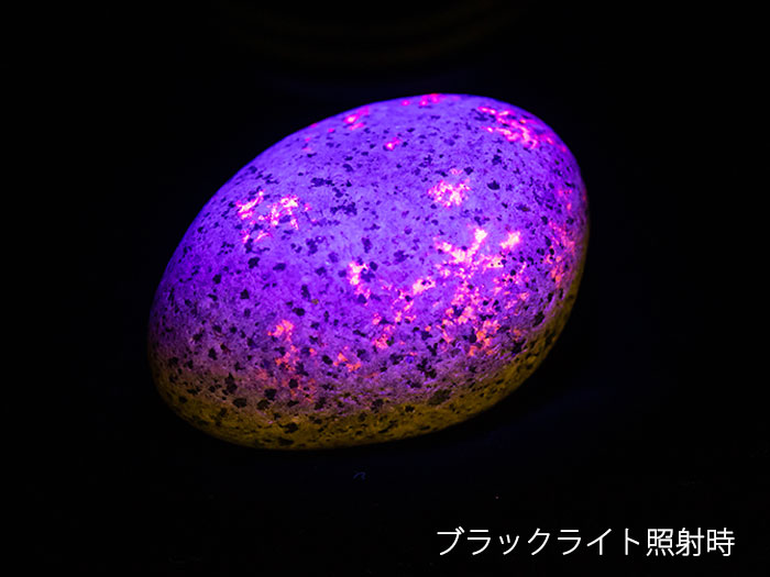 【17日迄！10％OFFクーポン】 ユーパーライト 164.5g UVライト+ギャランティーカード付き 現物販売 燃えるように光る石 スペリオル湖占い 風水 石 天然石 パワーストーン カラーストーン 原石 風水火山 風水 2026 送料無料