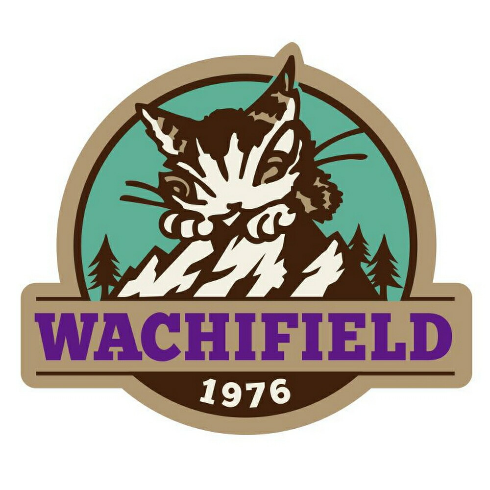 わちふぃーるど 猫のダヤン Mt.ステッカー 940755画像