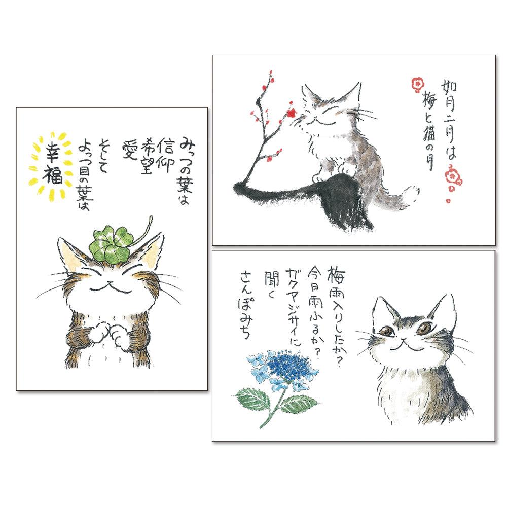 楽天市場】わちふぃーるど 猫のダヤン ポストカードになるお茶セット