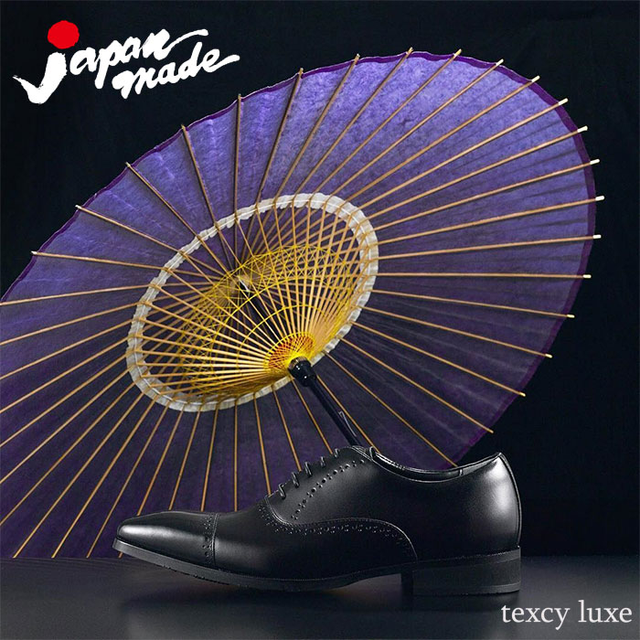 商賈シューズ 実作殻 メンズ Texcy Luxe 日本製 テクシー リュクス 革下足 紳士靴 成人男性 メンズ テクシーリュクス 本革 ビジネスシューズ 走れる 疲労ない 国産 幅狭 2e 墨染め 黒 茶 赤銅色 バーガンディ プレーントゥ 諤々心付 ウィングチップ 貨物輸送無料 Ice Org Br
