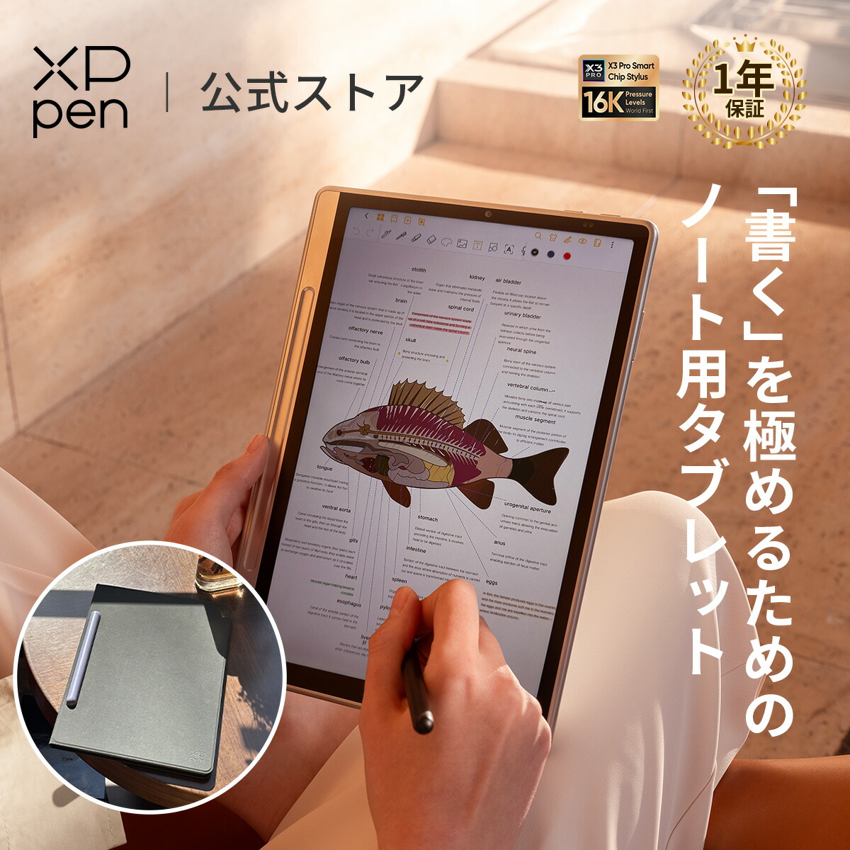 XPPen 色合い万覚え帳パッド マイコン不必要 10.95in Android 経口避妊薬 wi-fi青写真 X3 Pro Pencil 2 16384筆圧感知 書き込み経口避妊薬 手描き 能率化 おぼえ書き 円卓会議 磁石式入れもの付 Magic Note Pad