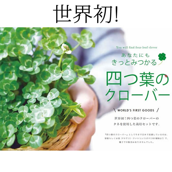 楽天市場 四つ葉のクローバー 栽培セット 栽培キット かわいい 四葉 種 発芽保証付 ガーデニング 観葉植物 キッチンインテリア 母の日 誕生日 ギフト プレゼント 工房 百の手