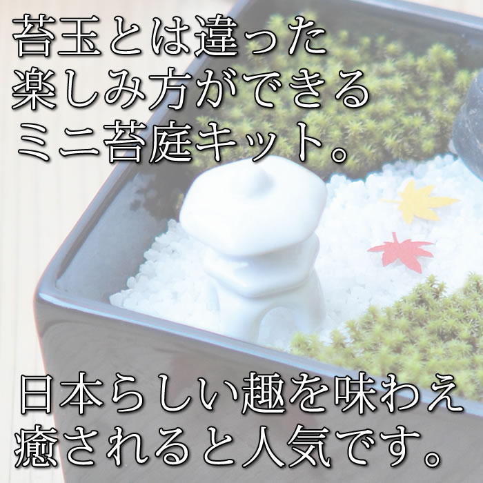 楽天市場 苔 インテリア 苔日和 苔庭 苔玉 栽培セット 栽培キット かわいい 観賞セット スナゴケ ガーデニング 観葉植物 苔盆栽 父の日 母の日 誕生日 ギフト 敬老の日 プレゼント 癒し 工房 百の手