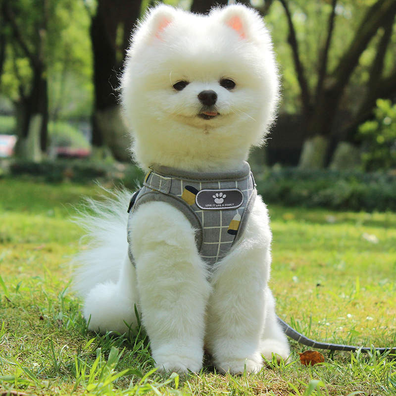 楽天市場 犬用ハーネスリードセット一体型 おしゃれな犬服 胴輪ペット用品リードハーネス犬ベルト脱げない 中型犬小型犬大型犬 百選コレコレ 楽天市場店