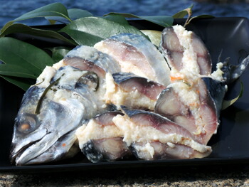 楽天市場 おいで康 鯖のなれずし クール冷蔵便 麹と鯖が生み出す自然な旨みと甘味 百選横丁 楽天市場店