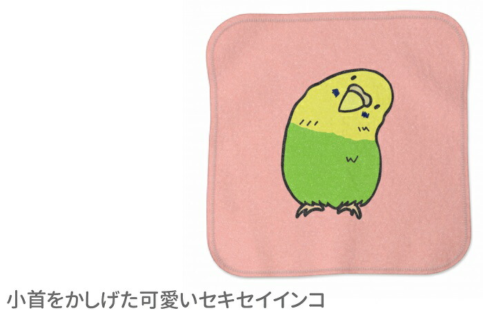 インコ ハンドタオル タオルハンカチ 記念品 アニバーサリー ピンク かしげるセキセイ 卒業祝 入学祝い 還暦 ハンカチ 名入れ