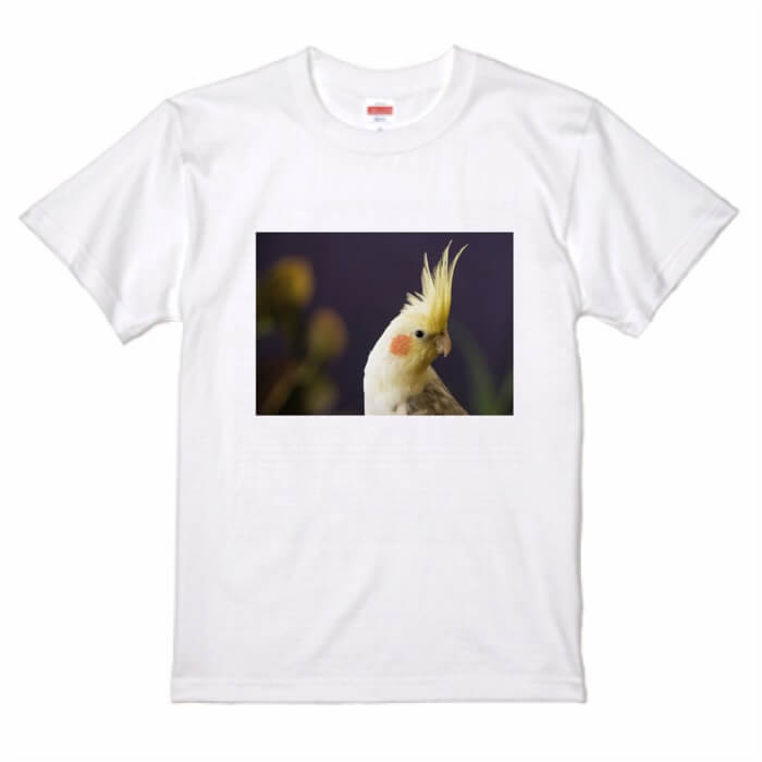 オカメインコ フォト イラスト 鳥好き プレゼント 雑貨 243 小鳥 オシャレ グッズ 鳥 Tシャツ かわいい
