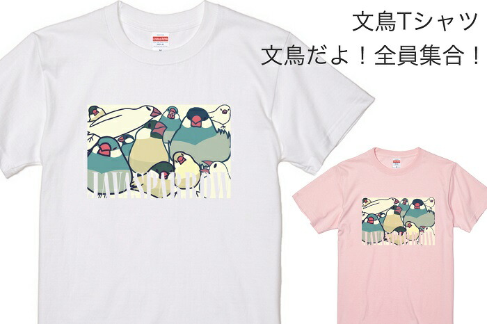 文鳥 Tシャツ かわいい デザイン 文鳥だよ 鳥好き アニマル 雑貨 243 鳥 小鳥 イラスト 全員集合 ぶんちょう グッズ