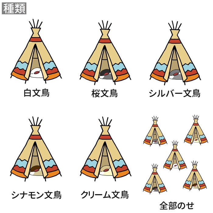 文鳥 Tシャツ かわいい 雑貨 イラスト ぶんちょう ティピと文鳥 243 グッズ 小鳥 オシャレ Buncho 鳥 鳥好き アニマル