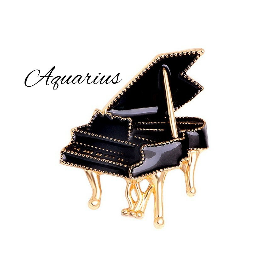 楽天市場】べっ甲 バイオリン ブローチ : Aquarius
