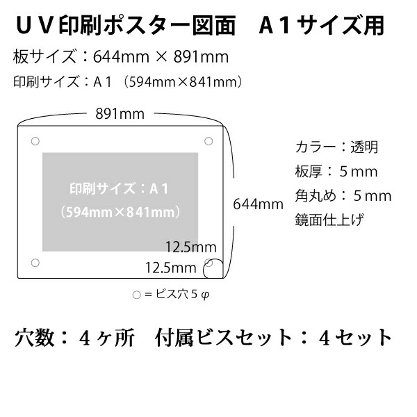 ギフ_包装 アクリル ポスターフレーム B4サイズ用 壁固定用 フロートタイプ サイズ :307mm×414mm アクリルフレーム アクリルパネル  パネル 透明 壁掛け ポスターパネル B4 アートフレーム フレーム 額縁 フォトパネル フォトフレーム ポスター 国産