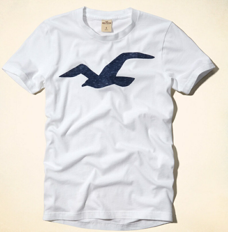 hollister t shirts mens