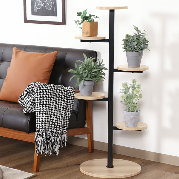 楽天市場】ディスプレイラック 棚 シェルフ キャビネット 本棚