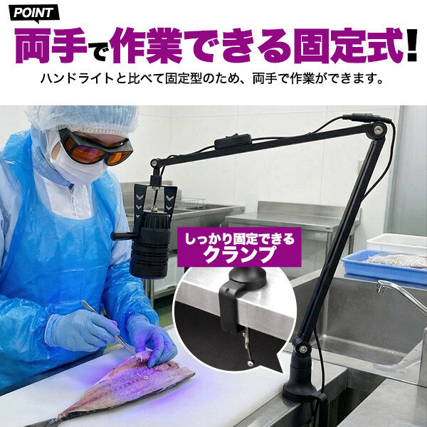 アニサキスライト 事務机点火装置 点火装置 アニサキスさがし当てるUV-LED手点火装置 寄生生物を安全性のあるかつ能率的にさがし当てる 据えつける式だから両手でやり方できる 照らしだす空間的関係自由自在 365航空マイル 保護すること眼鏡付き添い人