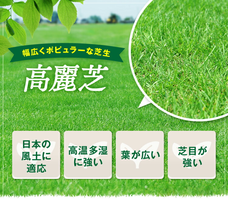 一般のご家庭やゴルフ場のフェアウェイなどに良く使用されています Diy 芝 天然芝 景観 ガーデニング 庭 芝生 クール便 芝生 天然芝 高麗芝 8平米 宮崎県産 日向芝