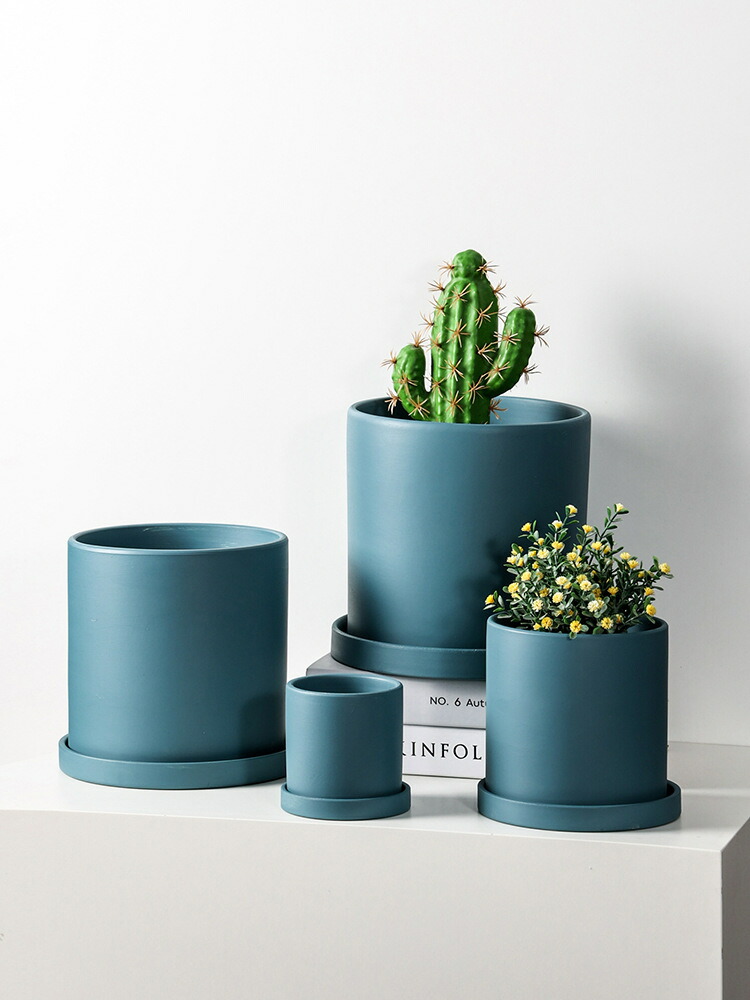 多肉セットd vase129】植木鉢 シンプル カラフルプランター 多肉植物 多肉