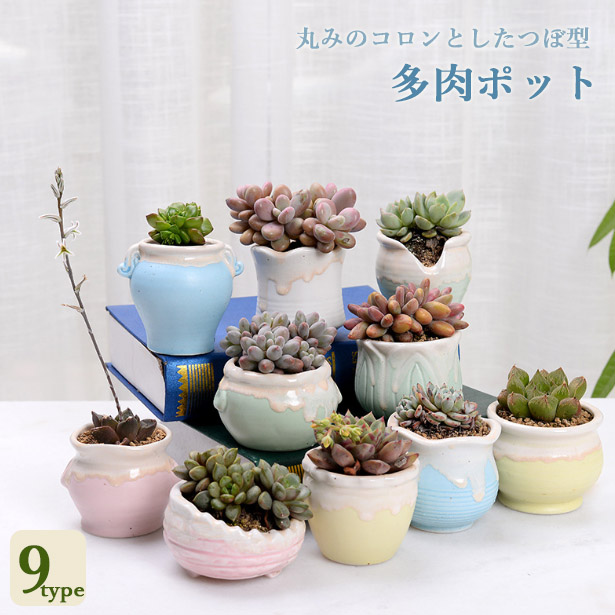楽天市場】【送料無料】〈AQUA PLANTPOT〉HACHI (円) ソーサー付